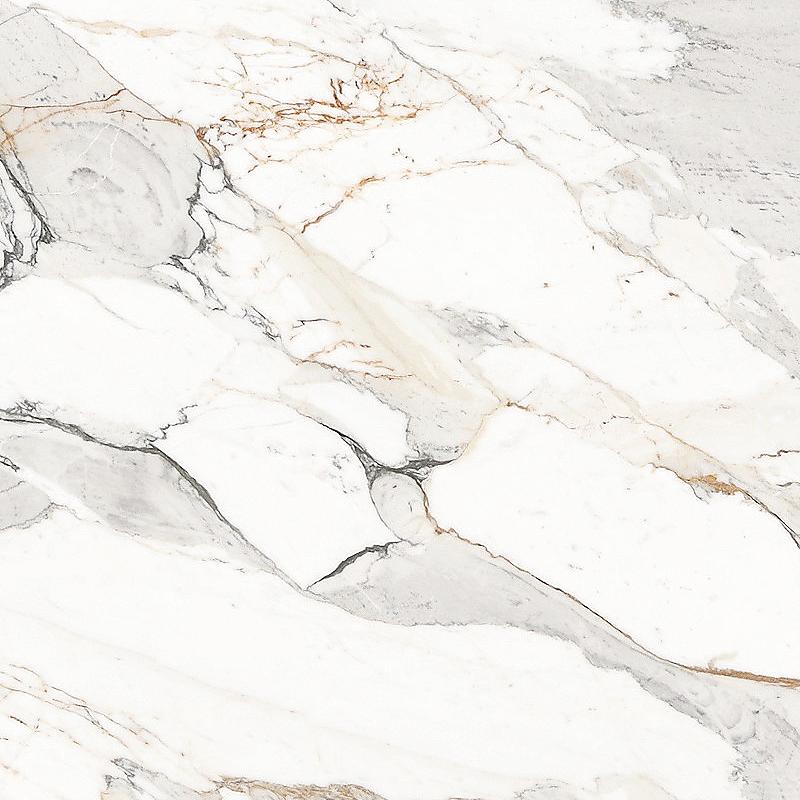 Calacatta Picasso Marble Slabs