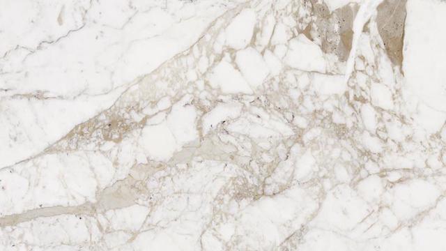 Calacatta Mezza Macchia