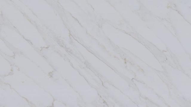 Calacatta Premata Quartz slab