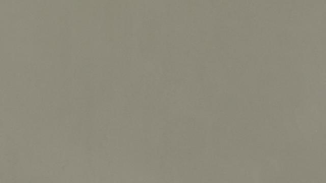 Harbor Gray