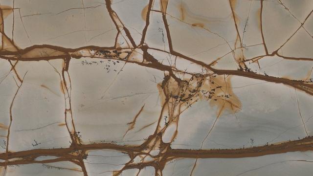 Blue Roma Quartzite slab