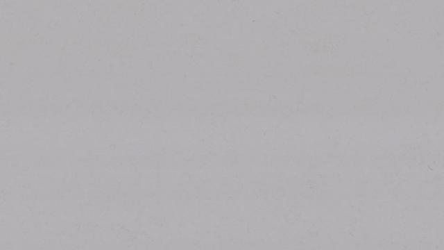 Blanco Illusion Quartz slab