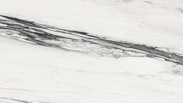 Calacatta Caldia Black