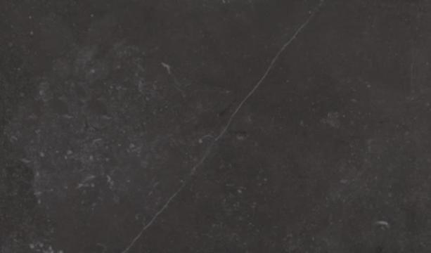Fossil
