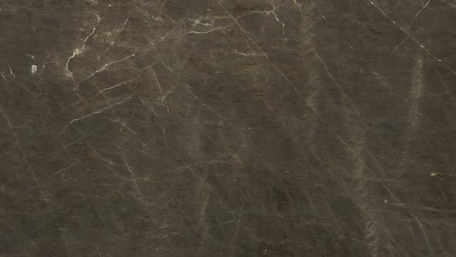 Emotion Gray