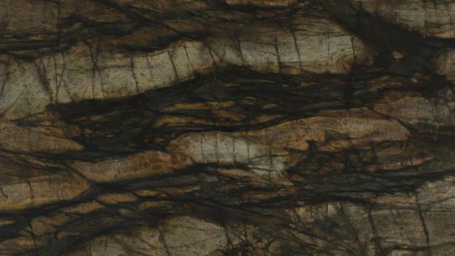 Sandalus (leathered)