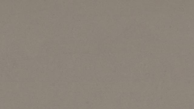 Fossil Gray Quartz slab