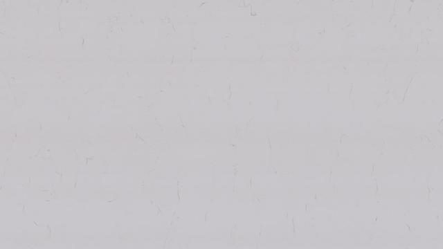 Carrara Trigato Quartz slab