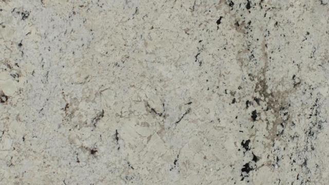 Delicatus White
