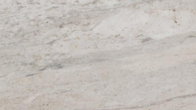 Calacatta Doro Quartzite slab