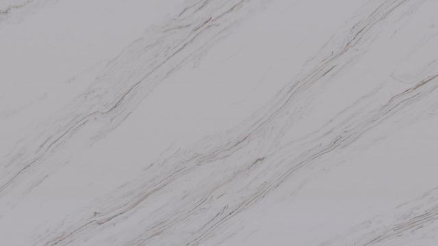 Calacatta Zenith Quartz slab
