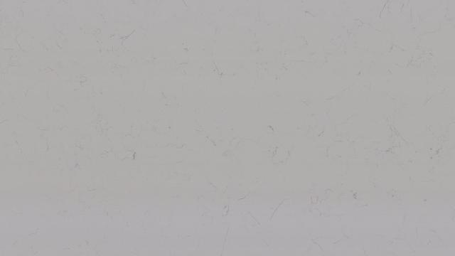 Bianco Marina Quartz slab