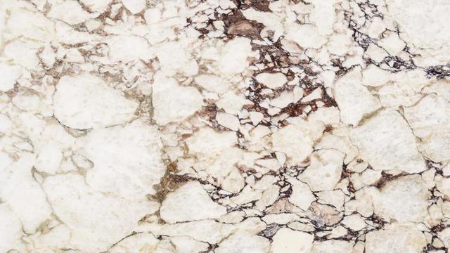 Calacatta Viola Monet