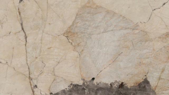 Ivory Crystal Quartzite slab