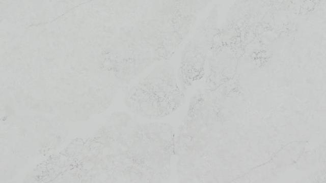 Iceberg