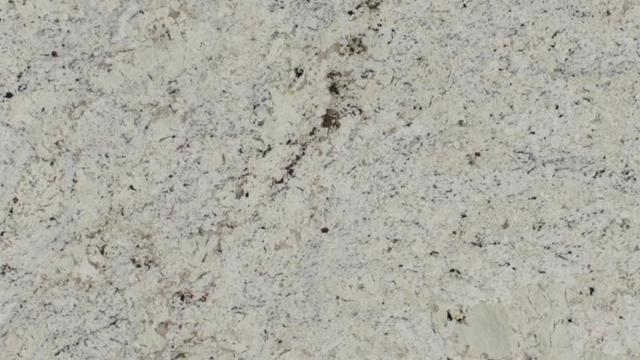 White Delicatus