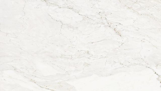 Calacatta Premium