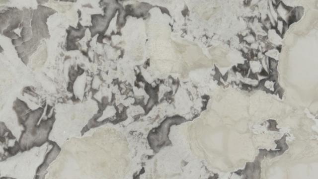 Oyster
