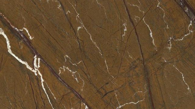 Rainforest Brown