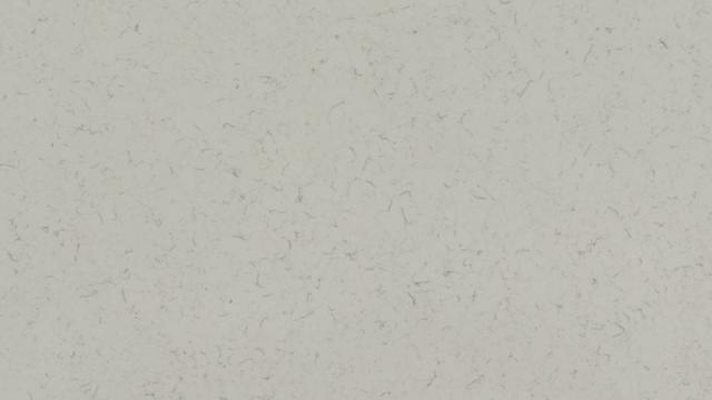 Pacific Terra