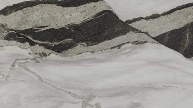 Dalmata