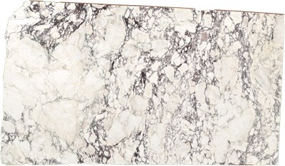 Calacatta Monet Marble
