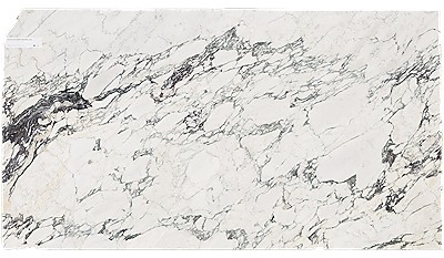 Calacatta Monet Marble