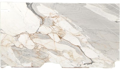 Calacatta Picasso Marble