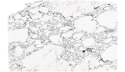 Calacatta Corchia Marble