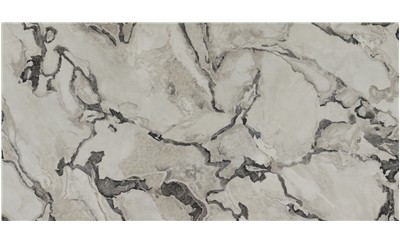 Oyster Porcelain