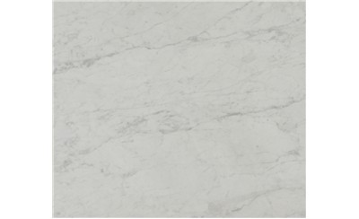Carrara White Marble