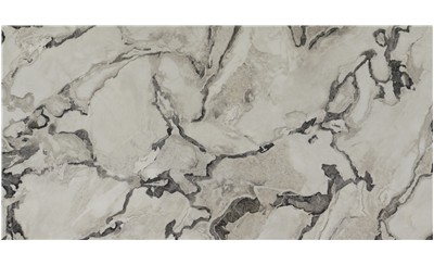 Oyster Porcelain