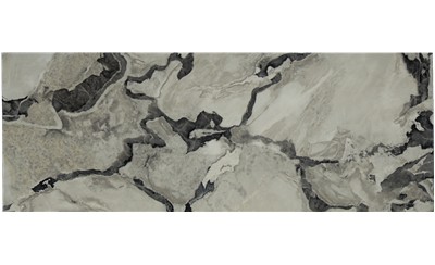 Oyster Porcelain