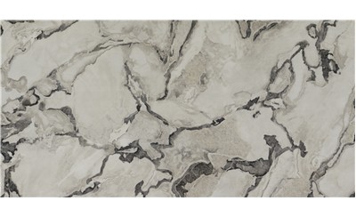 Oyster Porcelain