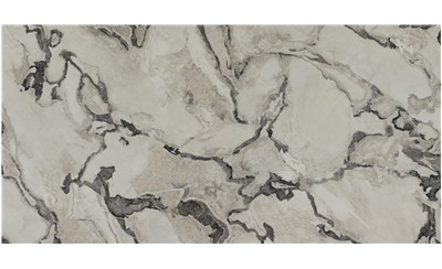 Oyster Porcelain