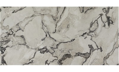 Oyster Porcelain