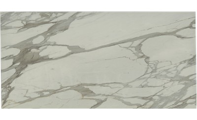 Bernini Porcelain