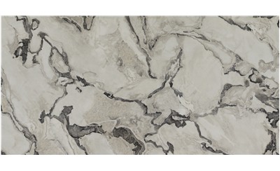 Oyster Porcelain