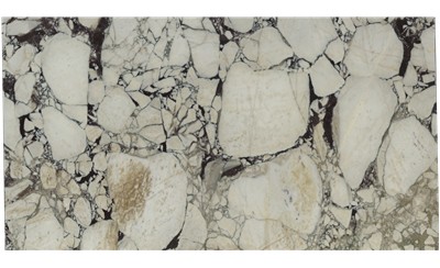 Calacatta Viola Marble
