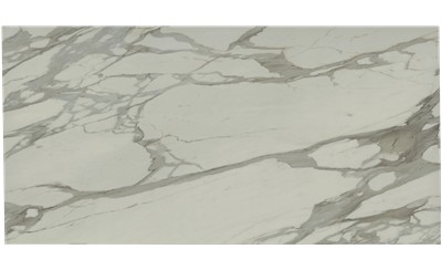 Bernini Porcelain
