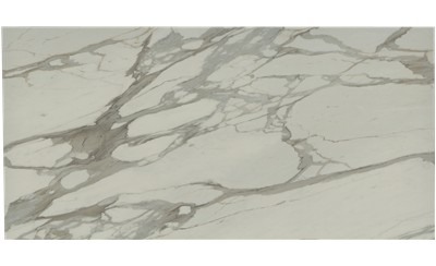 Bernini Porcelain