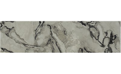 Oyster Porcelain