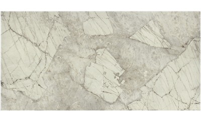 Antarctica White Porcelain