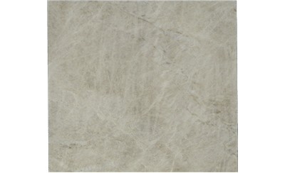 Taj Mahal Leather Quartzite