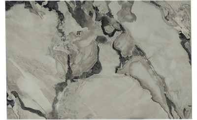 Oyster Porcelain