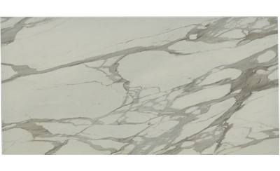 Bernini Porcelain