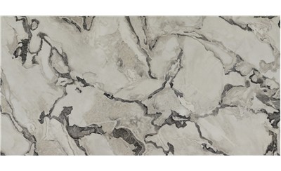 Oyster Porcelain