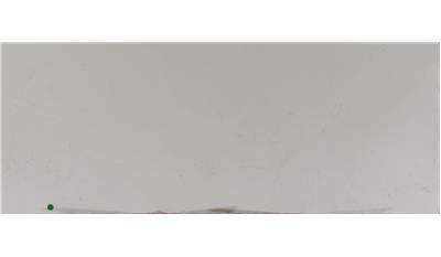 Calacatta Botanica Quartz