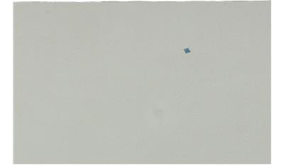 Simply White Quarts