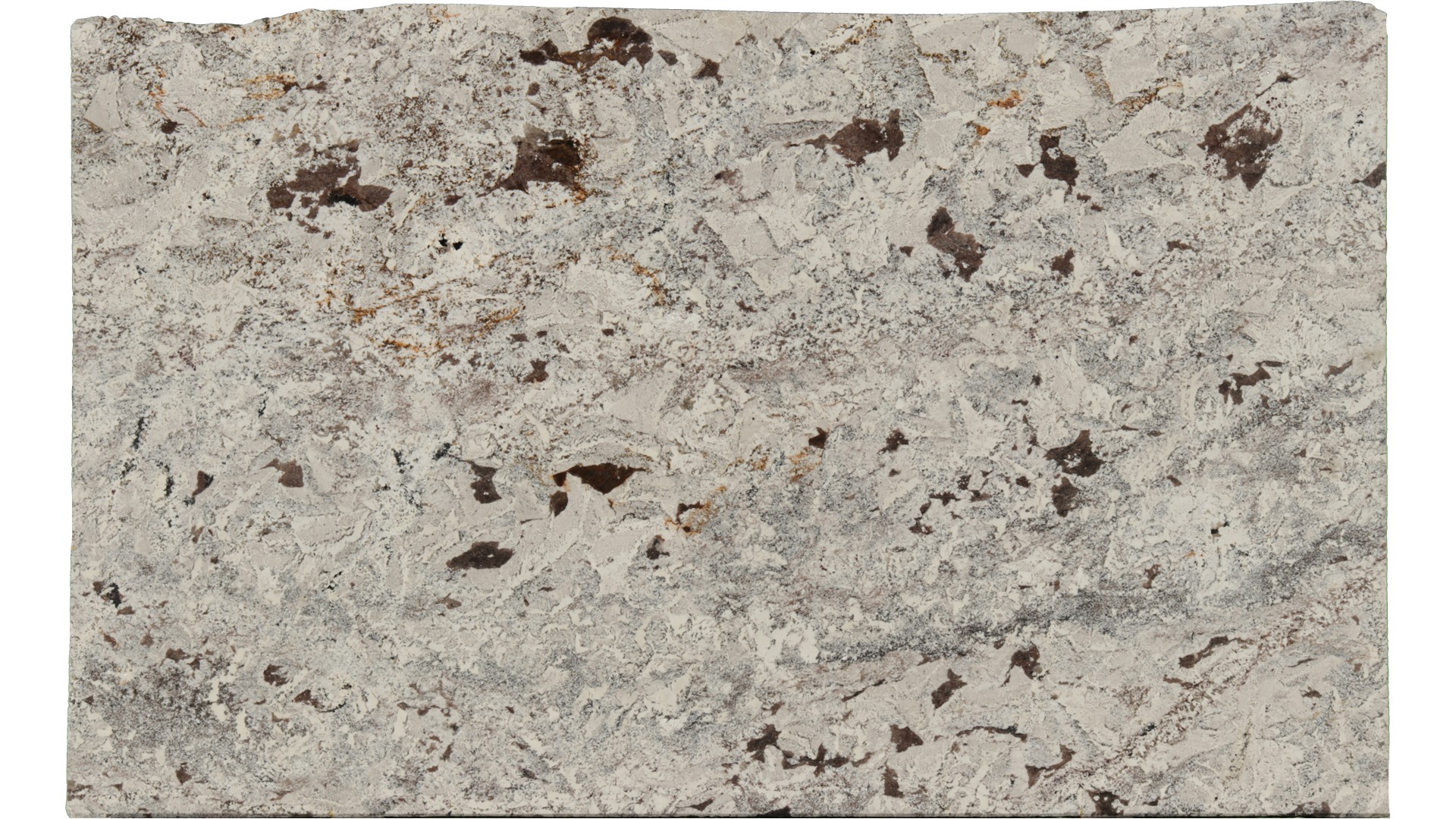 Crazy-Horse-White in Atlanta GA